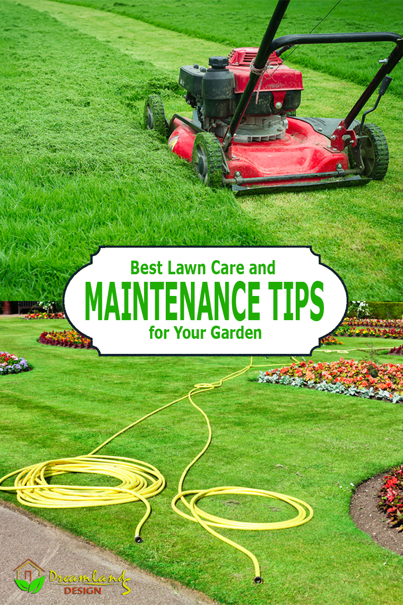 Pic of Best Lawn Care Tips and Lawn Maintenance Tips for Your Garden