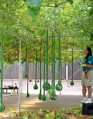 Featured image - Some Breathtaking Advancement in the World of Landscaping Services