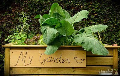 Featured of We Are Loving Vegetable Gardening, Let's Start Planting Your First Garden
