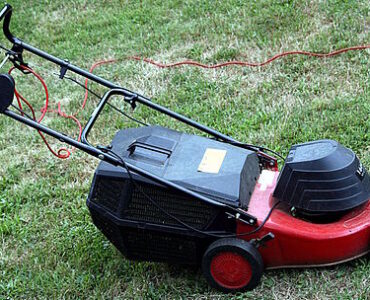 Featured of Lawn Mowing Tips for Healthy Grass, The Proper Way to Mow the Lawn