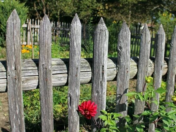 Featured of Current Garden Trends That Are Going to Be Huge in This Year