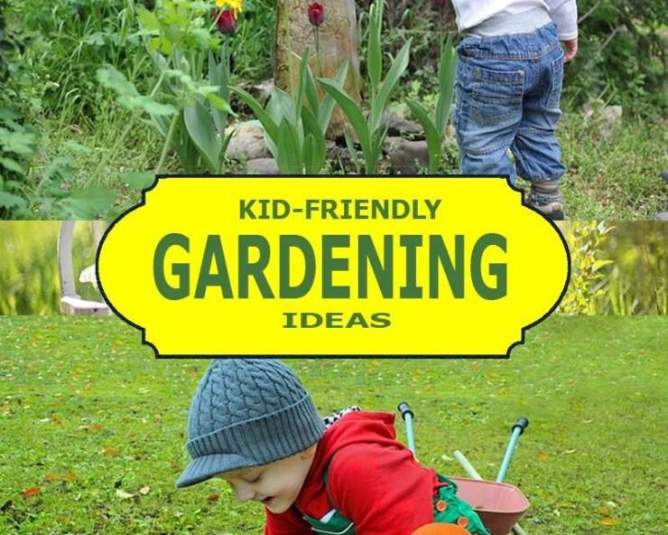Gardening Ideas for Kids, Make Your Kid Fall in Love With Gardening