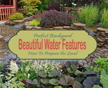 Featured How To Prepare The Land For a Beautiful Backyard Water Features