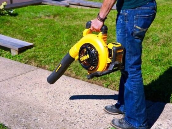 Featured - Falling of Leaves Creating a Mess? Don’t Worry Cordless Leaf Blowers are Here!