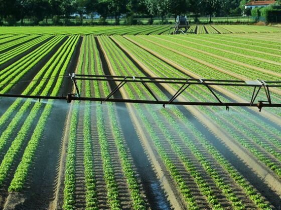 Featured of How to Lay and Install Drip Irrigation System for your Garden