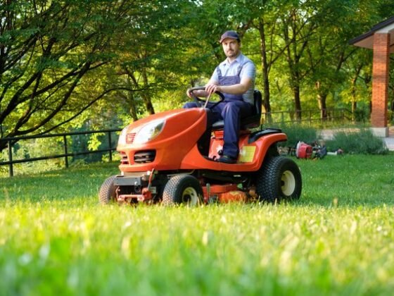 Featured of How To Select The Perfect Mower For Your Needs