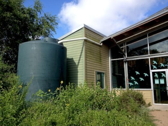 Featured Rainwater Harvesting: Environmental Benefits and Pitfalls
