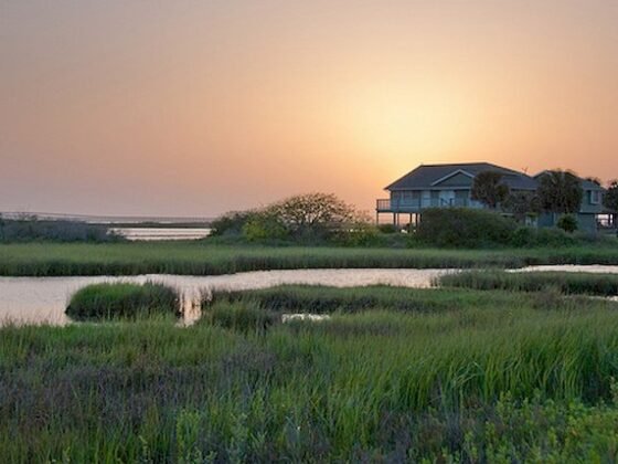 Featured of 5 Strategies for Building a Green Home