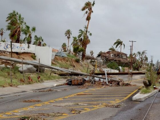 Featured of Solar Panels Illegal in Florida