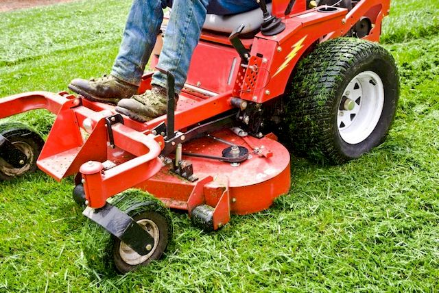 Featured of How to Choose the Best Mower for Your Lawn