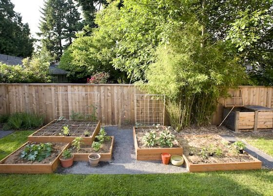 Featured of 5 Budget Friendly Gardening Tips (Budget Gardening Tips)