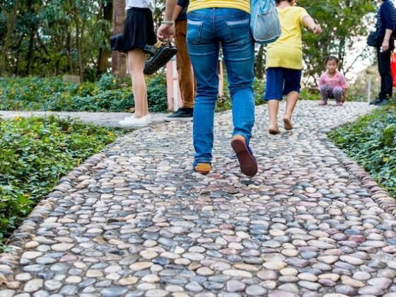 Featured of Important Guideline for Garden Landscaping Stones