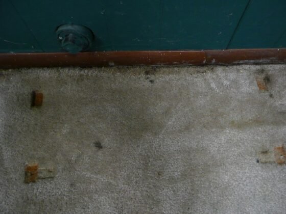 Featured of A DIY Guide for Installing Basement Wall Waterproofing Membrane