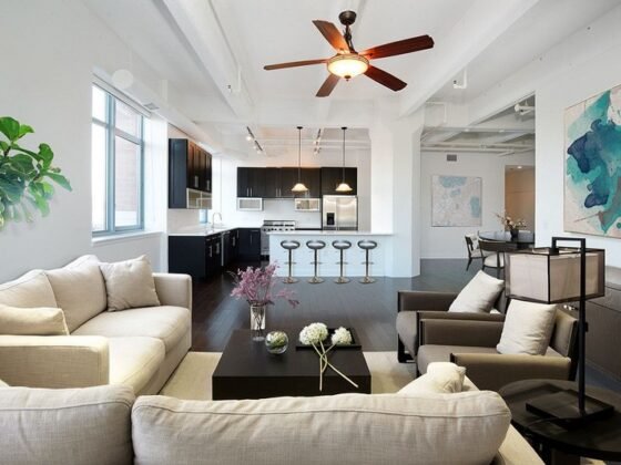 Featured image - How to Quickly and Easily Optimize Your Condo's Aesthetic