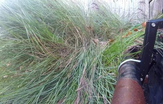 Featured of How to Cut Long Grass