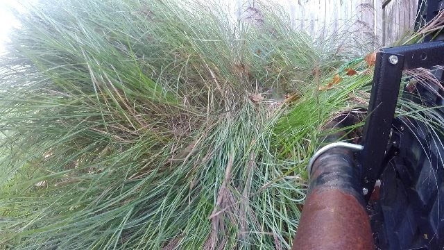 How Do I Cut Very Long Grass How Do I Cut Very Long Grass