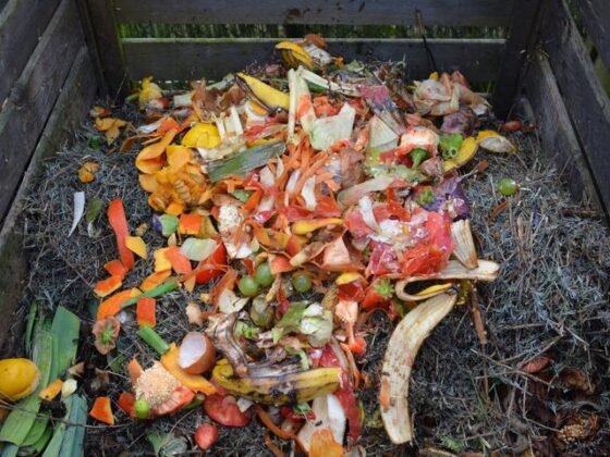 Featured image - How to Build a Compost Pile