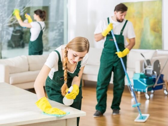 Featured of Should I Hire a Professional Maid Service or an Individual Maid?