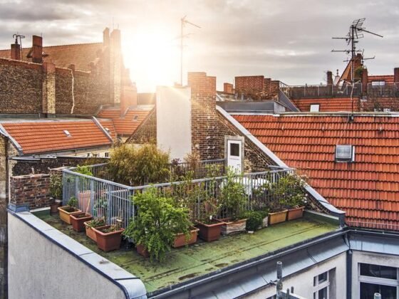 Featured of A Concise Guide to Rooftop Gardens