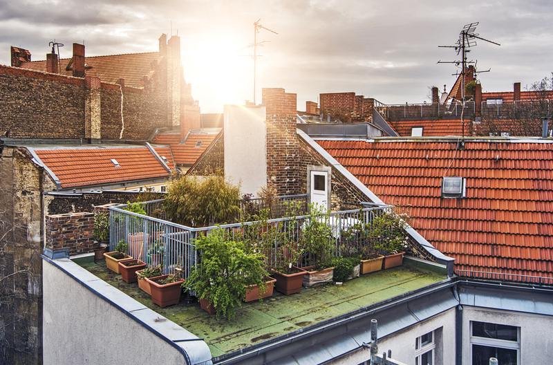 Rooftop Gardens: A Concise Guide Rooftop Gardens: A Concise Guide
