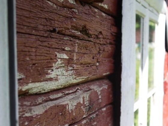 Featured of Eco Friendly Materials for Homes That You Can Use During Renovation