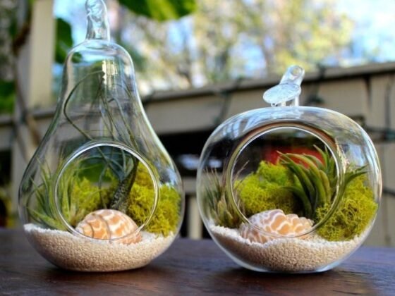 Featured of 7 Things to Consider When Planning For an Eco-friendly Living Room