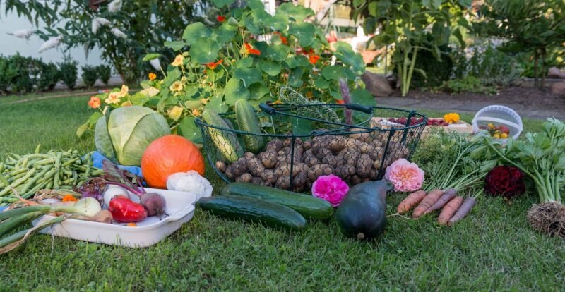 Fall Harvest Garden