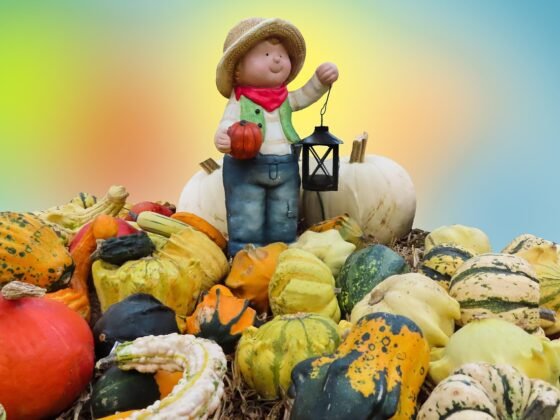 Fall Garden Planting Guide, What to Plant and When