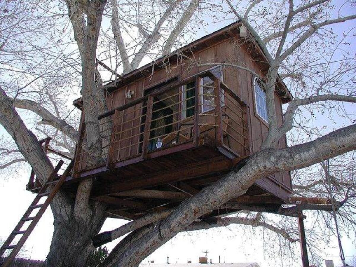 Simple Tree House Ideas