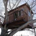 Featured of DIY Simple Tree House Ideas: How to Make a Treehouse