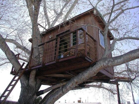 Featured of DIY Simple Tree House Ideas: How to Make a Treehouse