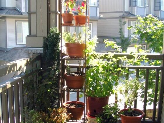 Featured of How to Decorate Your Small Cosy Balcony Without Overdoing It