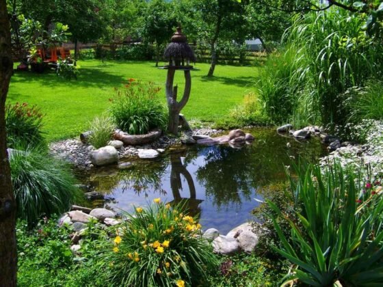 Featured image - How to Make a Small Garden Pond Without a Great Expense