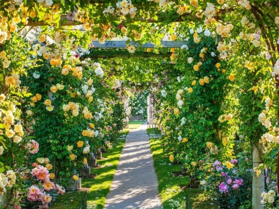 Featured of matching a flower wall to your events colour palette