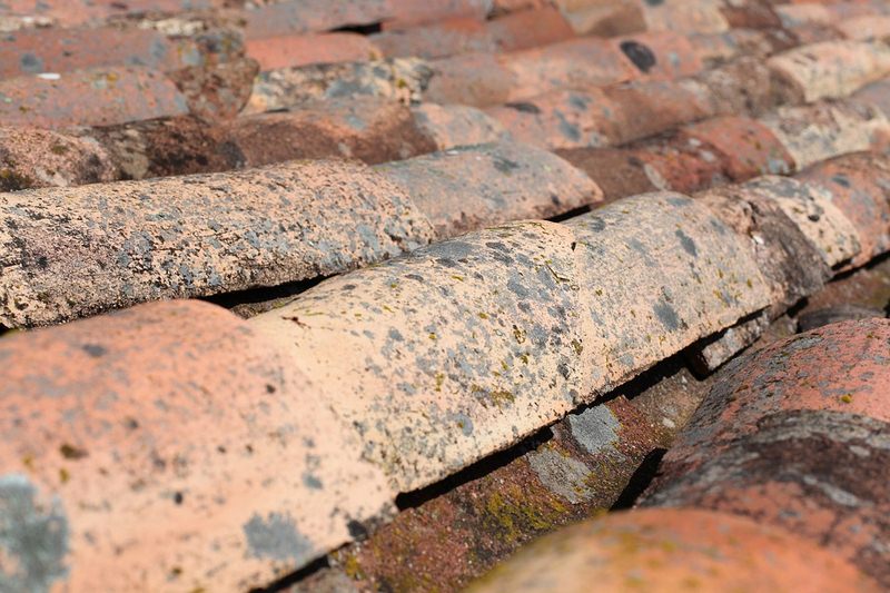 Loose Shingle Granules - 5 Signs That Will Tell You It’s Time to Repair Your Roof