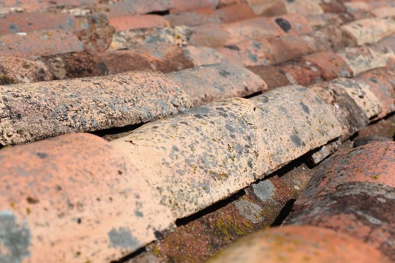 Loose Shingle Granules Loose Shingle Granules - 5 Signs That Will Tell You It’s Time to Repair Your Roof