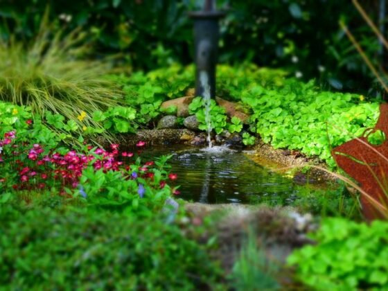 Featured of 7 Landscape Design Trends Prevailing