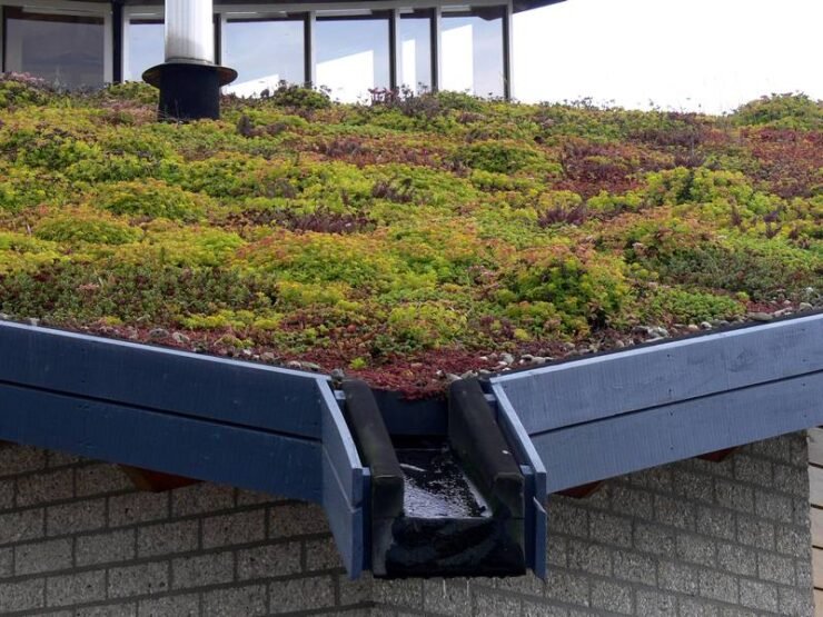 Converting A Rooftop Patio Into A Green Roof Space photo