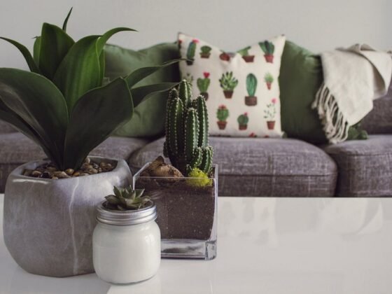 Featured image - Make It Clean and Fresh: 5 Tips to Improve Indoor Air Quality at Home