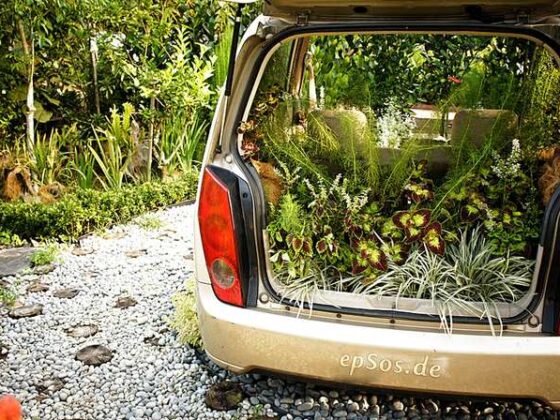 Featured of August Gardening Tips, Enjoy the August Curtain Call