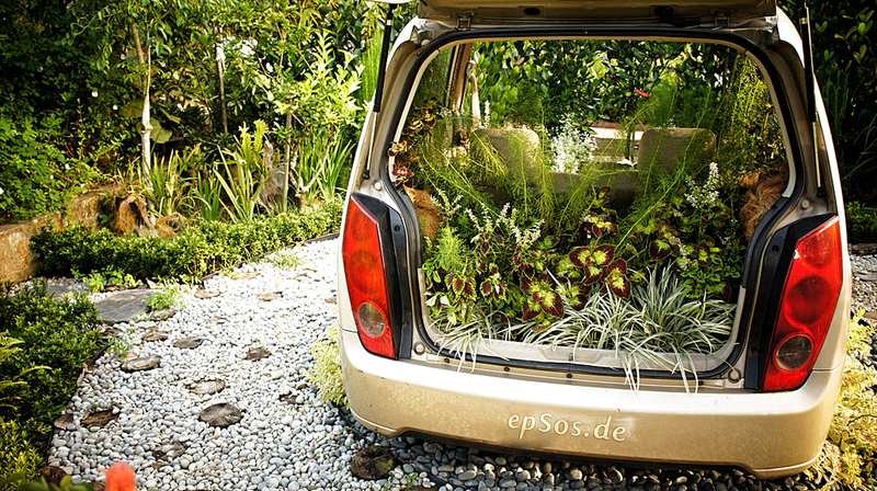 August Gardening Tips, Enjoy the August Curtain Call August Gardening Tips, Enjoy the August Curtain Call
