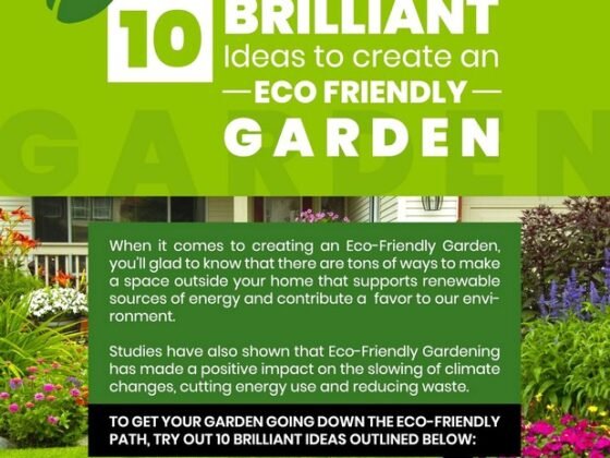 Featured of 10 Brilliant Ways to Create an Eco-Friendly Garden