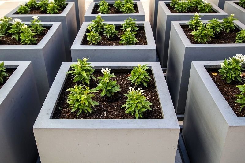 How to Make Your Garden More Appealing with Planter Boxes How to Make Your Garden More Appealing with Planter Boxes