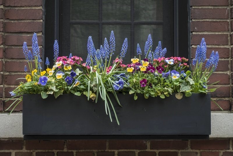 Planter Boxes Planter Boxes