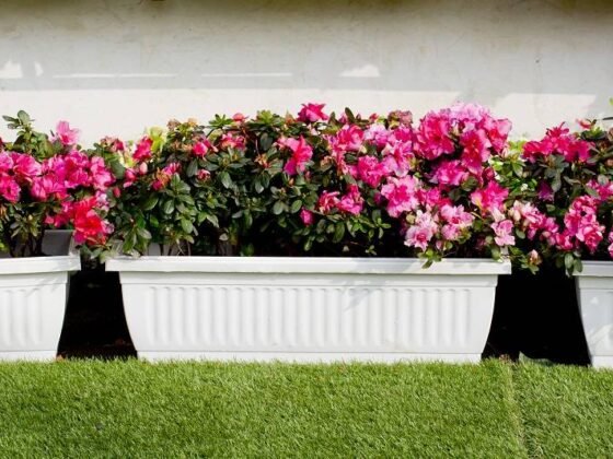 Featured of The Various Kinds of Planter Boxes to Create an Appealing Landscape