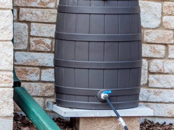 Featured of To Buy or DIY, That Is the Question: What Is the Best Option for Your First Rain Barrel