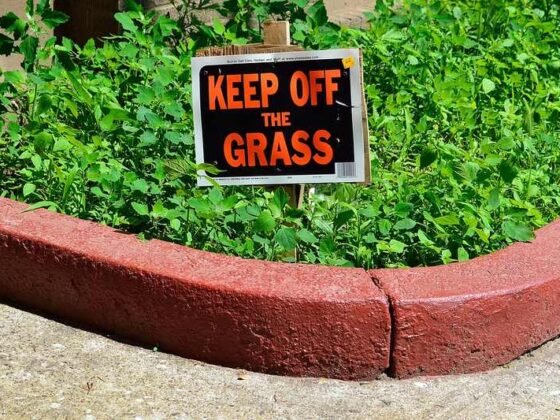 Featured of Important Steps to Winterize Your Lawn Care and Landscaping