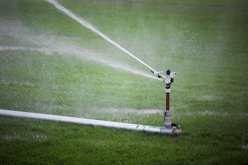 How to Hire Top Irrigation Contractors? How to Hire Top Irrigation Contractors