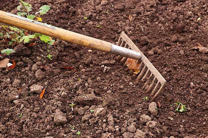 Rake Cover Soil Rake Cover Soil - Important Steps to Winterize Your Lawn