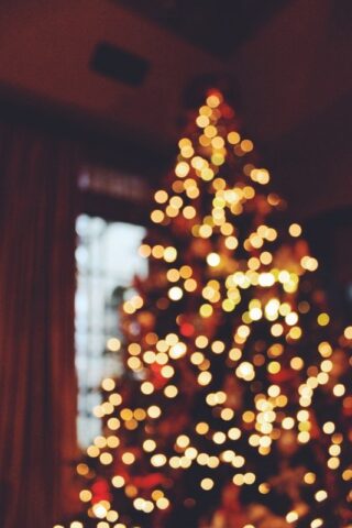 √ Ideas for Decorating for Christmas on a Budget • Dream Lands Design